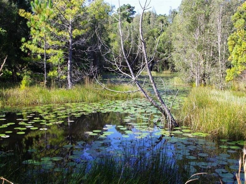 191 Archville Station Road, Bonville NSW 2441