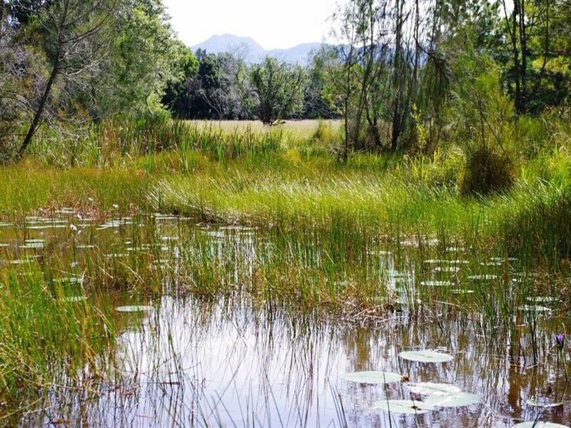 191 Archville Station Road, Bonville NSW 2441