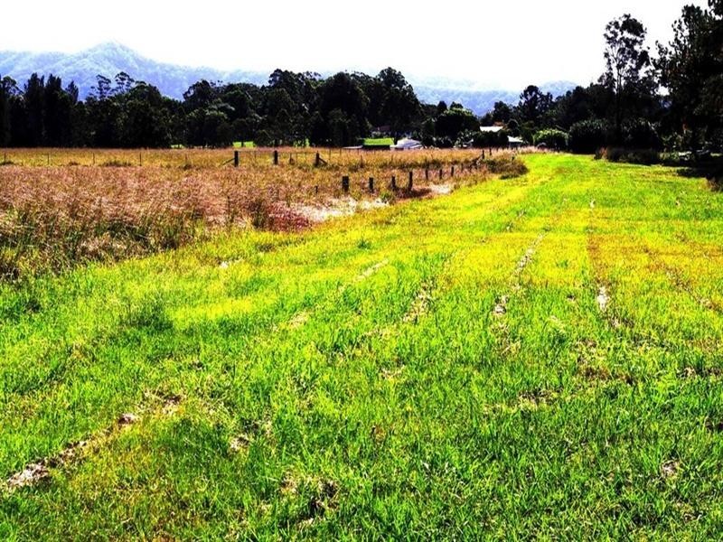 191 Archville Station Road, Bonville NSW 2441