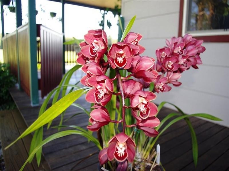 191 Archville Station Road, Bonville NSW 2441