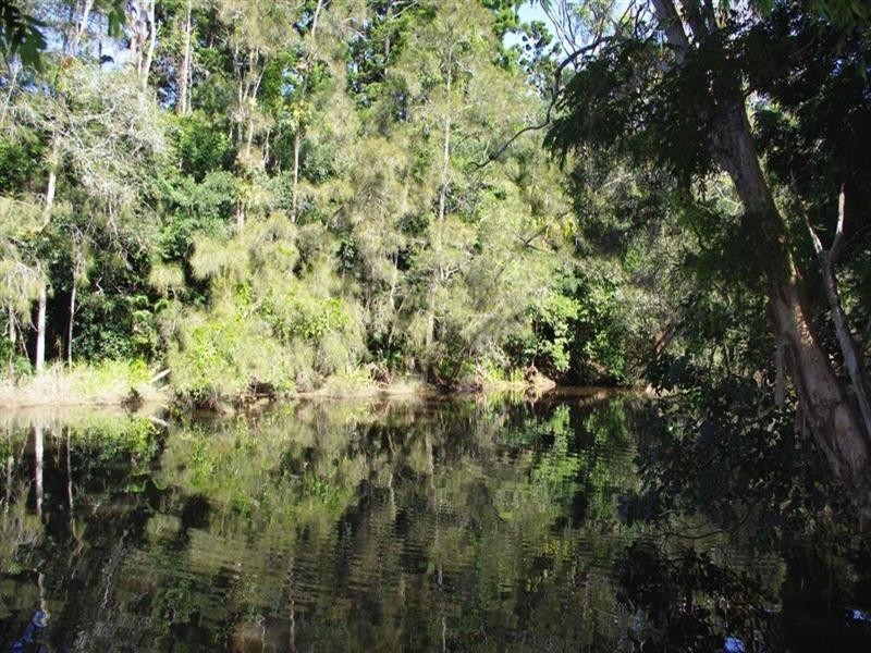 191 Archville Station Road, Bonville NSW 2441