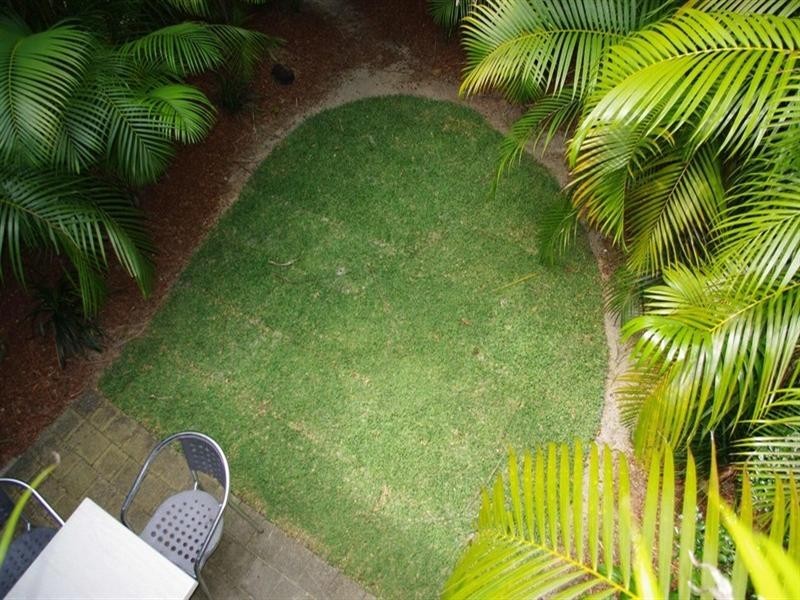 83/2 Firman Drive, Coffs Harbour NSW 2450