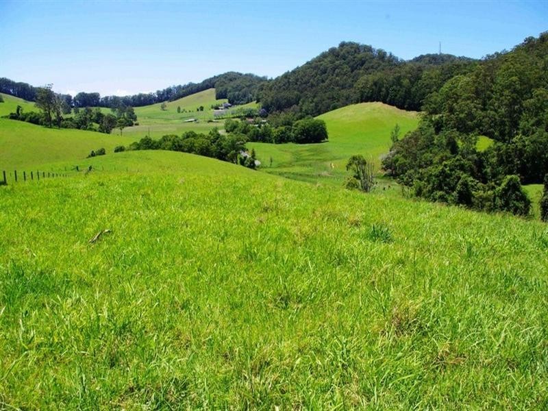 256 Fridays Creek Road, Upper Orara NSW 2450