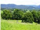 256 Fridays Creek Road, Upper Orara NSW 2450