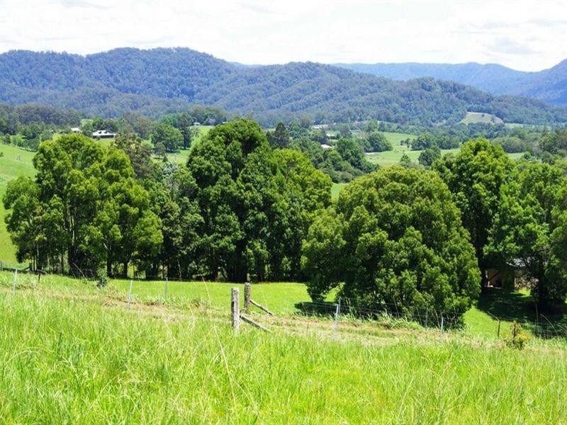 256 Fridays Creek Road, Upper Orara NSW 2450