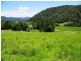 256 Fridays Creek Road, Upper Orara NSW 2450