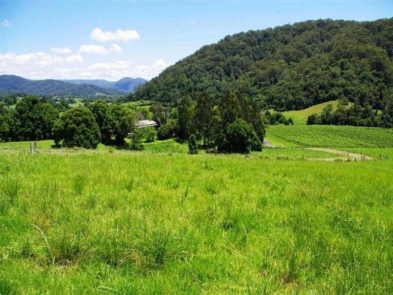 256 Fridays Creek Road, Upper Orara NSW 2450