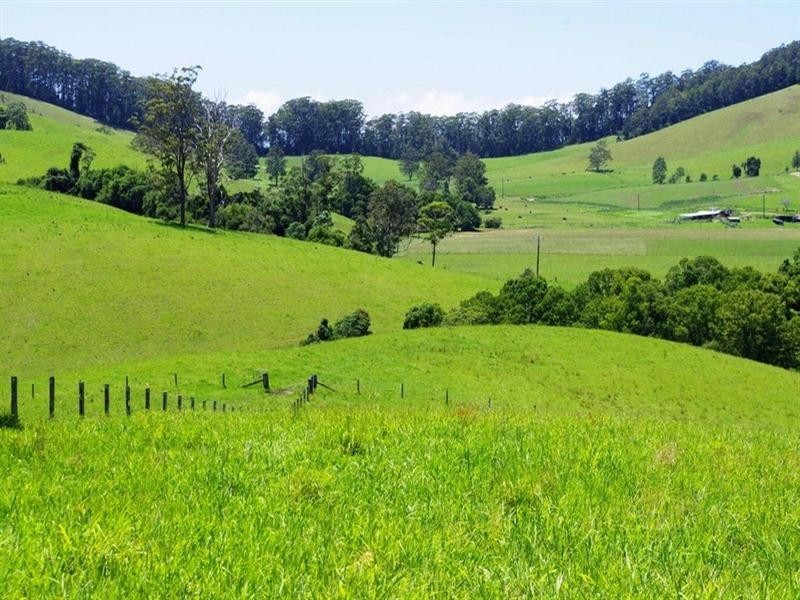 256 Fridays Creek Road, Upper Orara NSW 2450