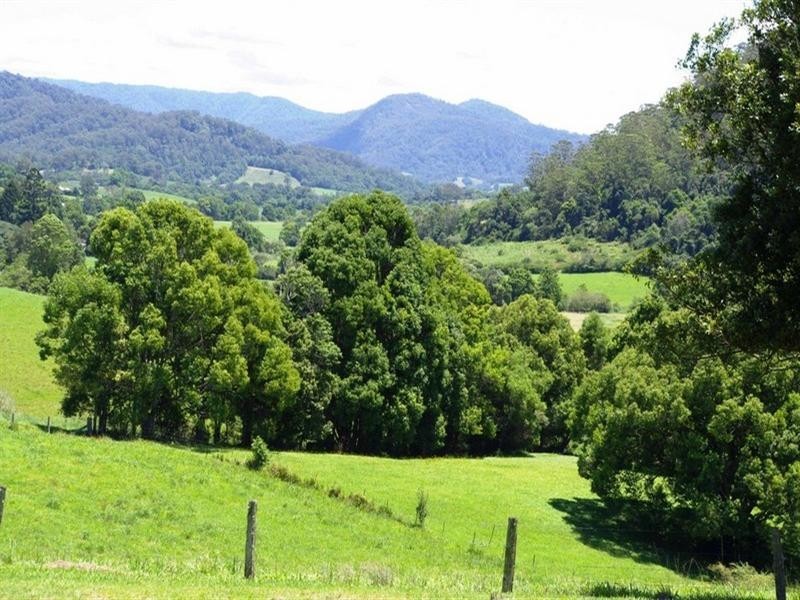 256 Fridays Creek Road, Upper Orara NSW 2450