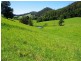 256 Fridays Creek Road, Upper Orara NSW 2450