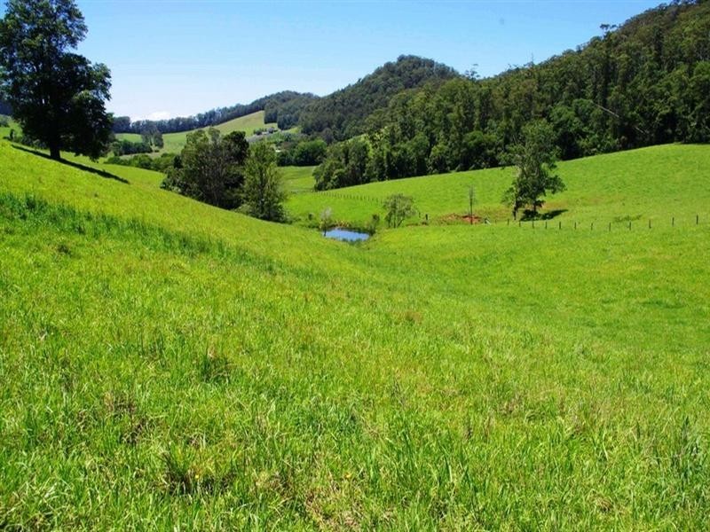 256 Fridays Creek Road, Upper Orara NSW 2450