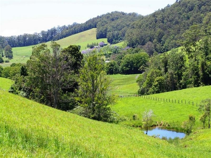 256 Fridays Creek Road, Upper Orara NSW 2450