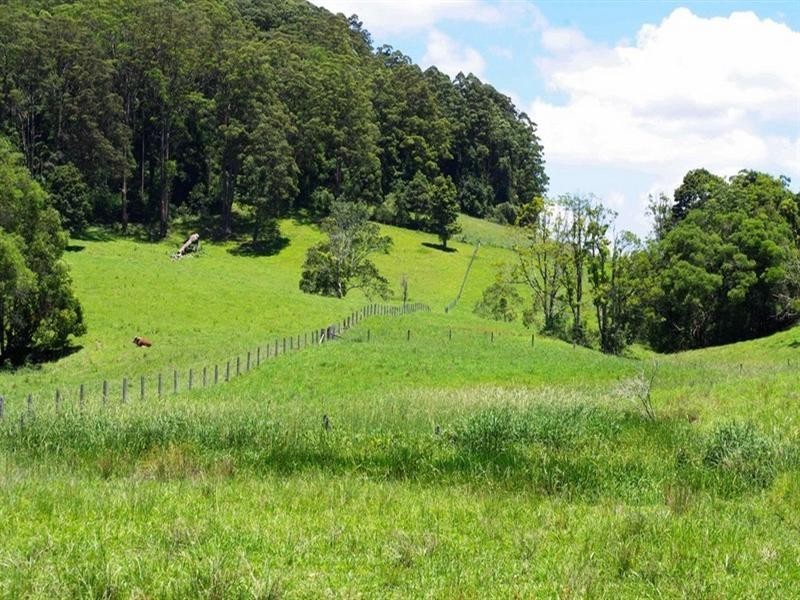 256 Fridays Creek Road, Upper Orara NSW 2450