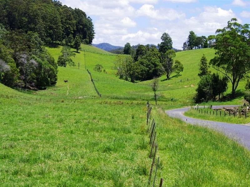 256 Fridays Creek Road, Upper Orara NSW 2450