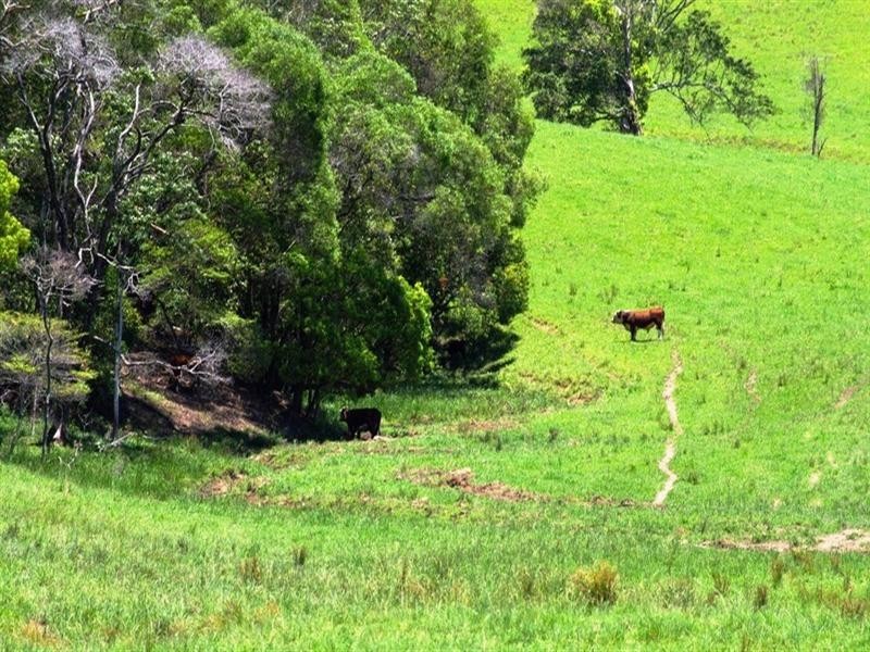 256 Fridays Creek Road, Upper Orara NSW 2450