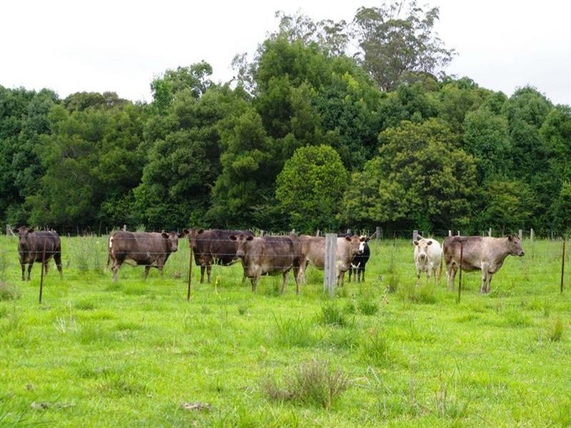 71 Mount Browne Road, Karangi NSW 2450