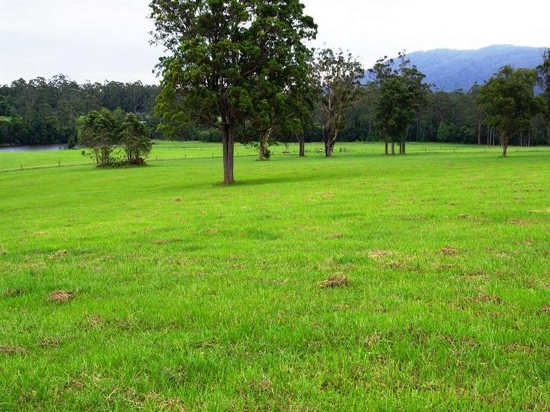 Part Lot/1041 Bucca Road, Bucca NSW 2450