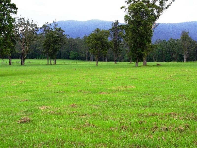 Part Lot/1041 Bucca Road, Bucca NSW 2450