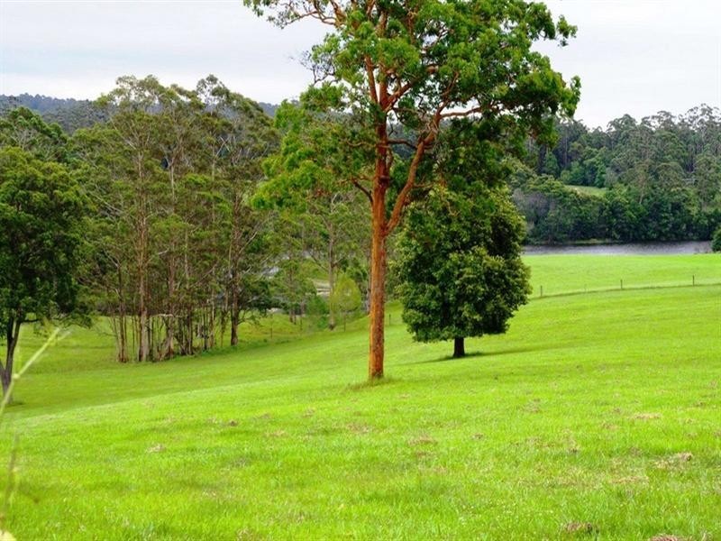 Part Lot/1041 Bucca Road, Bucca NSW 2450