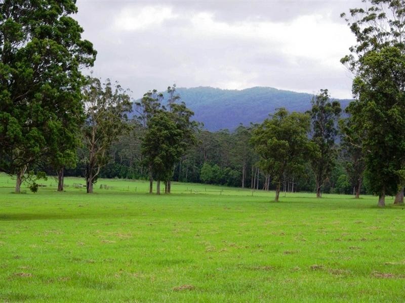 Part Lot/1041 Bucca Road, Bucca NSW 2450