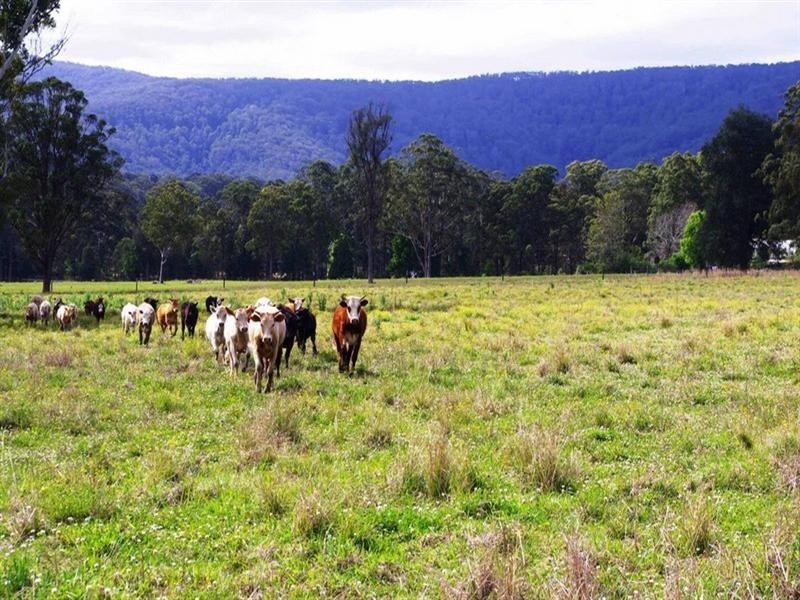 Part Lot/1041 Bucca Road, Bucca NSW 2450
