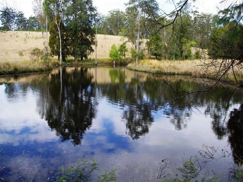 Part Lot/1041 Bucca Road, Bucca NSW 2450