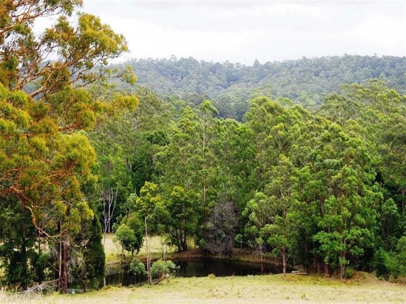 Part Lot/1041 Bucca Road, Bucca NSW 2450