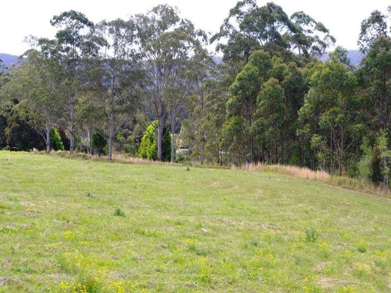 Part Lot/1041 Bucca Road, Bucca NSW 2450