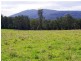 Part Lot/1041 Bucca Road, Bucca NSW 2450