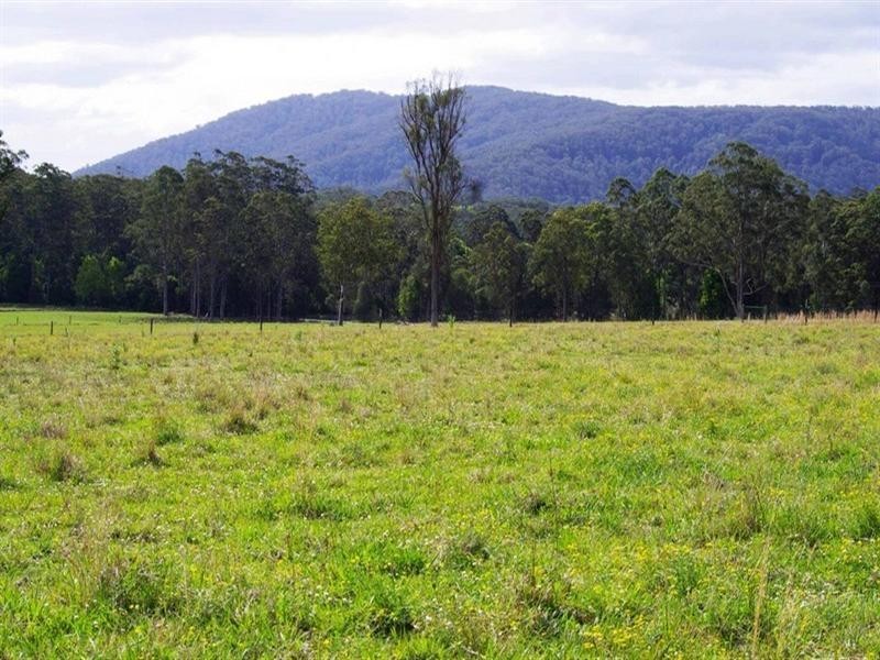Part Lot/1041 Bucca Road, Bucca NSW 2450