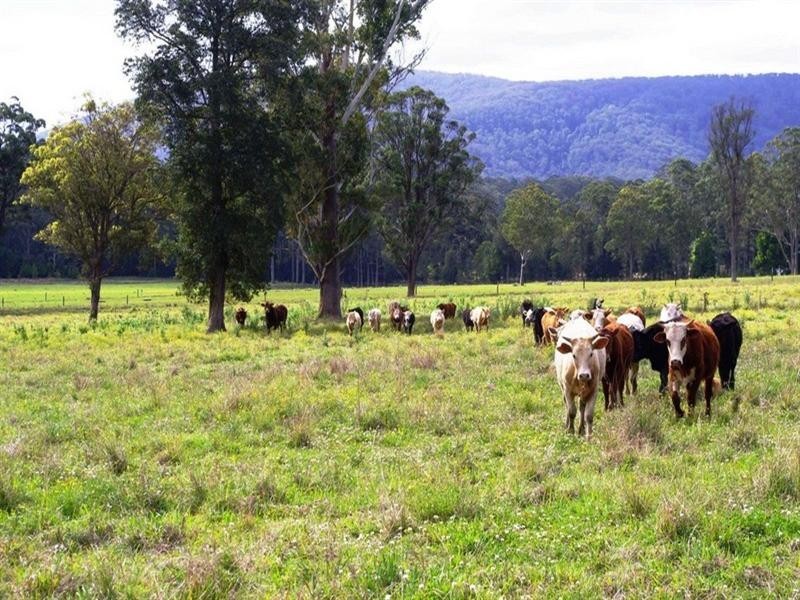 Part Lot/1041 Bucca Road, Bucca NSW 2450