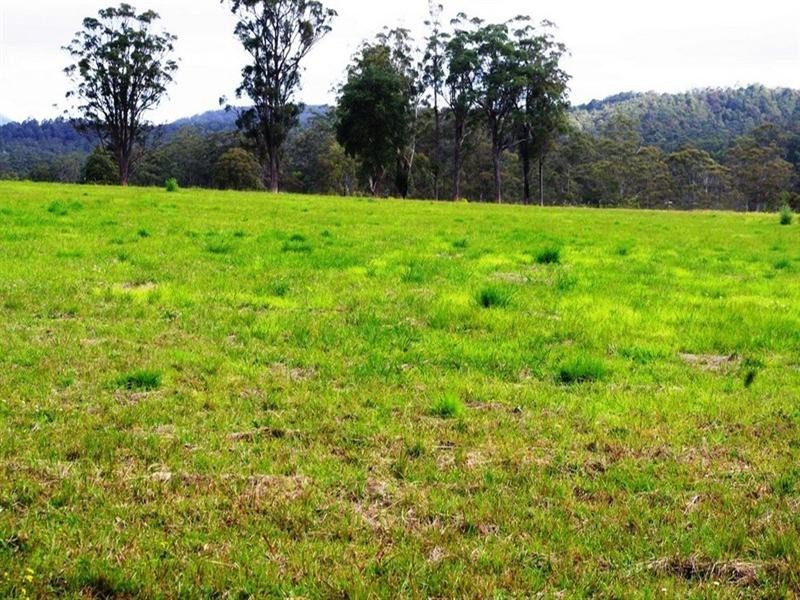 Part Lot/1041 Bucca Road, Bucca NSW 2450