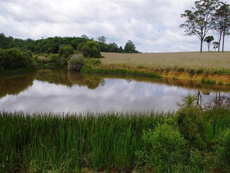 Lot 131 Lowanna Road, Lowanna NSW 2450