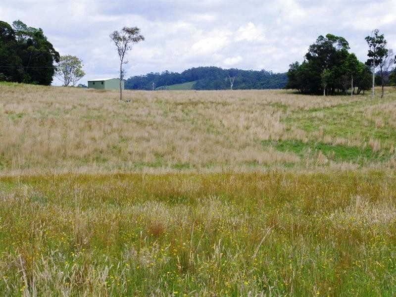 Lot 131 Lowanna Road, Lowanna NSW 2450