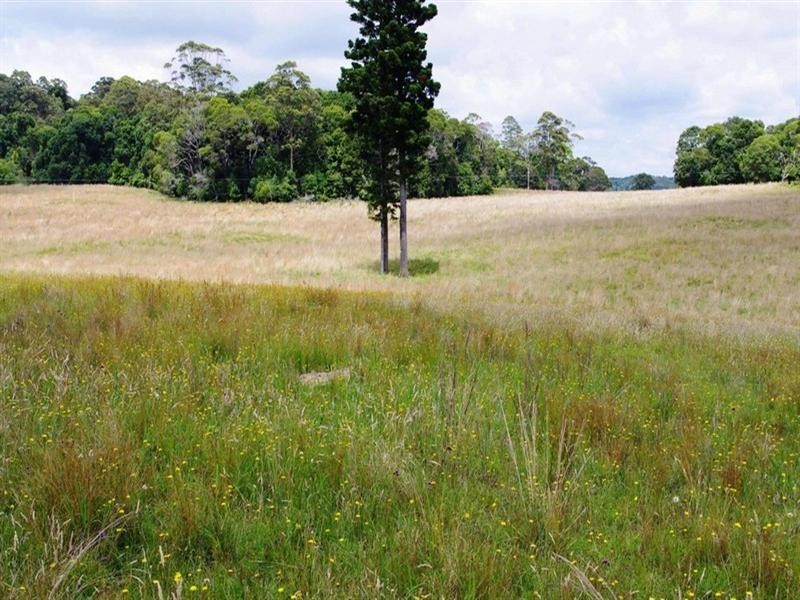 Lot 131 Lowanna Road, Lowanna NSW 2450