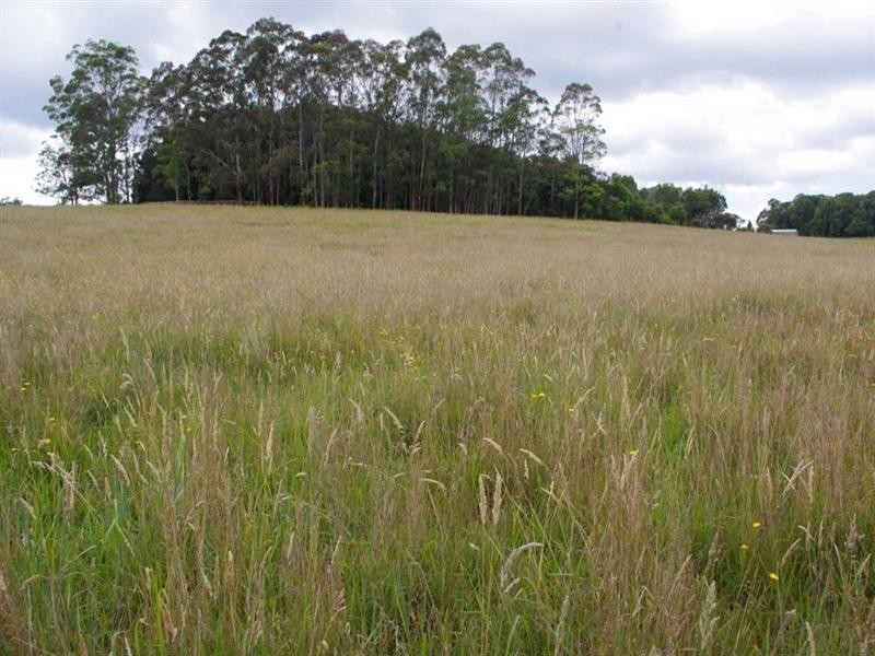 Lot 131 Lowanna Road, Lowanna NSW 2450