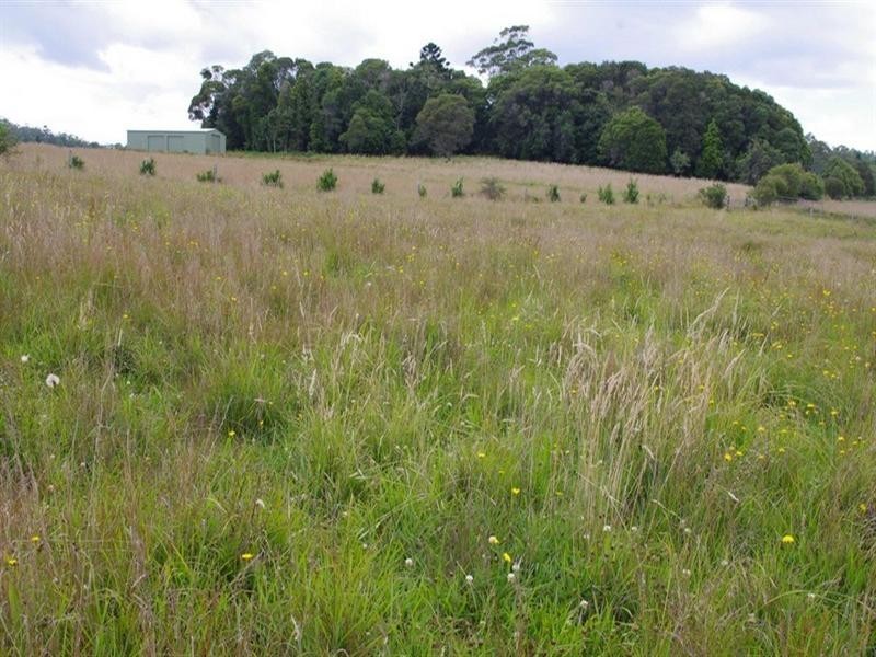 Lot 131 Lowanna Road, Lowanna NSW 2450