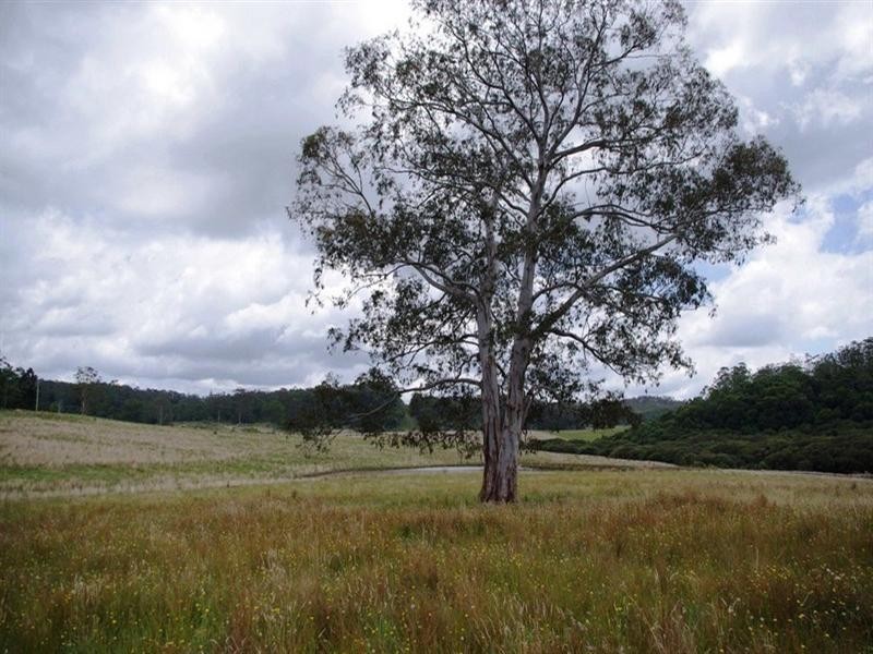 Lot 131 Lowanna Road, Lowanna NSW 2450