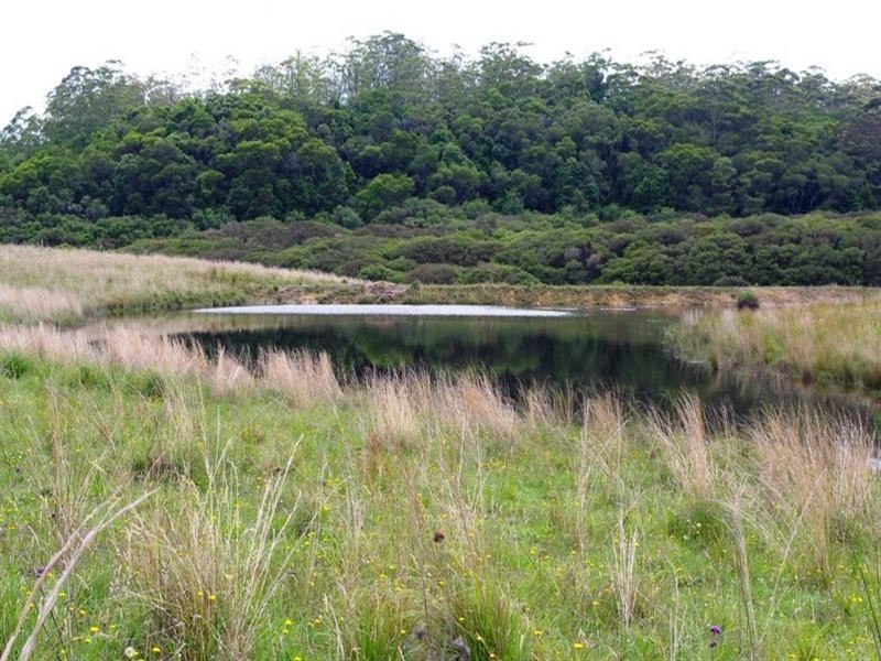 Lot 131 Lowanna Road, Lowanna NSW 2450