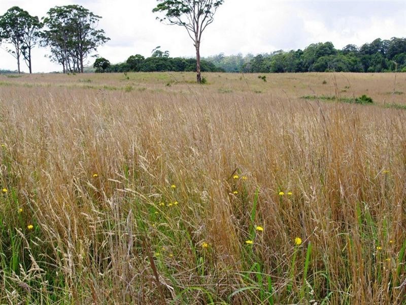 Lot 131 Lowanna Road, Lowanna NSW 2450