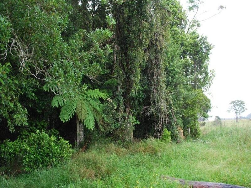 Lot 131 Lowanna Road, Lowanna NSW 2450