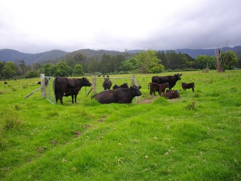 339 Dairyville Road, Upper Orara NSW 2450