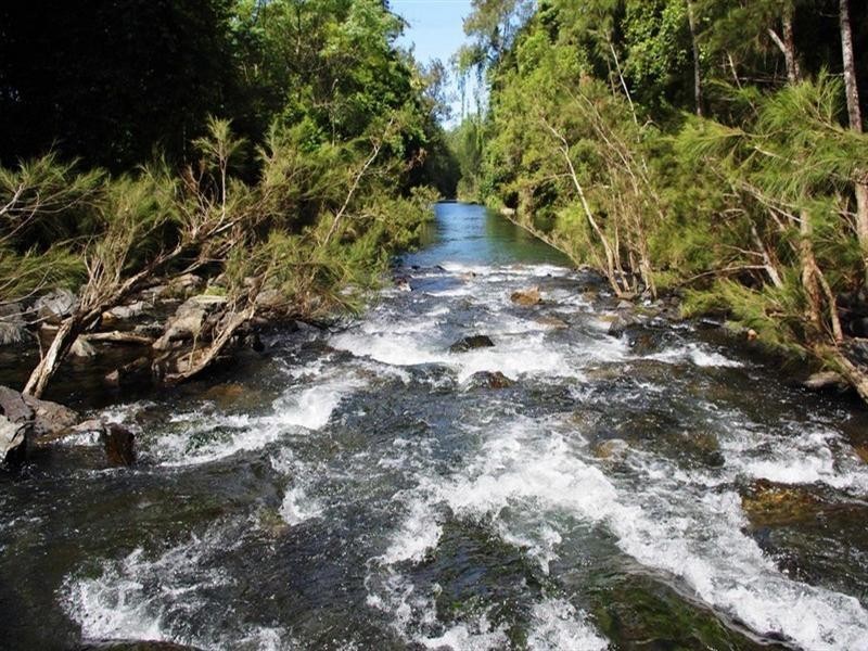 339 Dairyville Road, Upper Orara NSW 2450