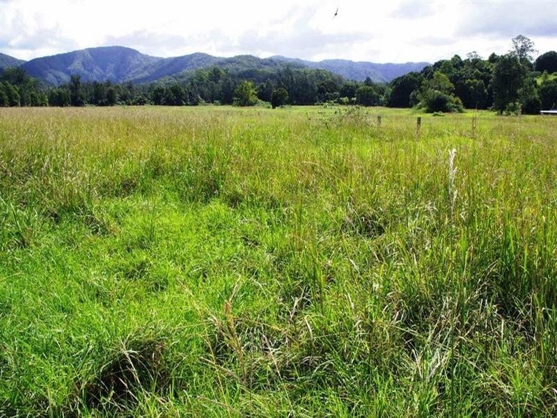 339 Dairyville Road, Upper Orara NSW 2450