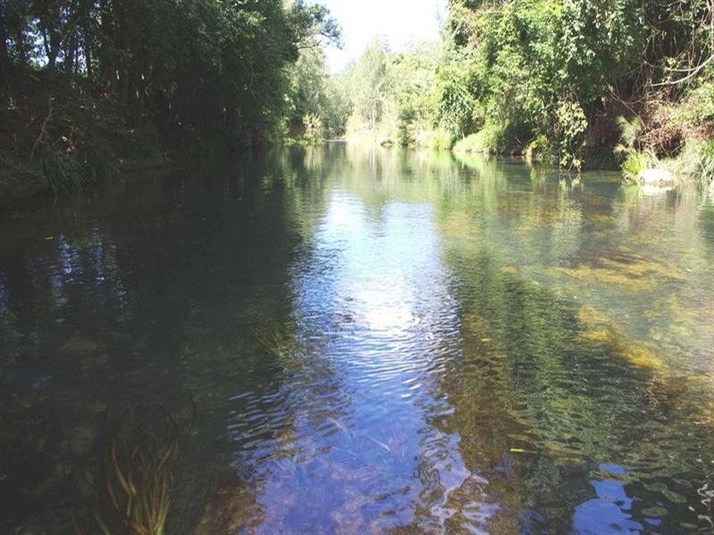 339 Dairyville Road, Upper Orara NSW 2450