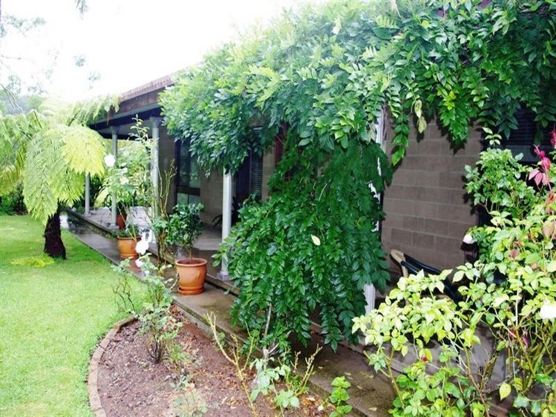 339 Dairyville Road, Upper Orara NSW 2450