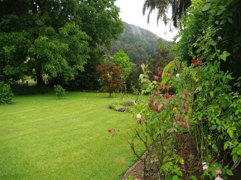 339 Dairyville Road, Upper Orara NSW 2450