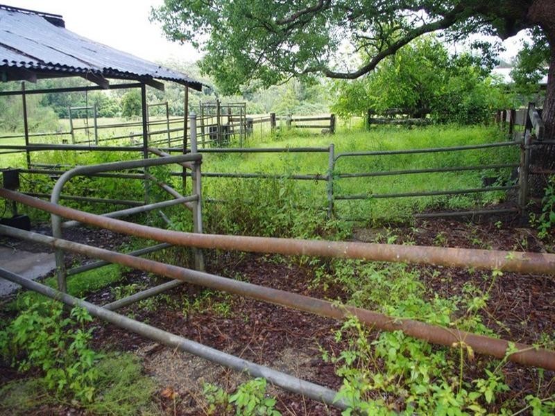 339 Dairyville Road, Upper Orara NSW 2450