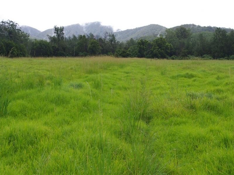 339 Dairyville Road, Upper Orara NSW 2450