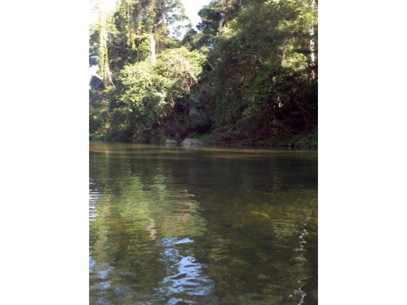 339 Dairyville Road, Upper Orara NSW 2450